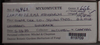 Image Associated With the Occurence